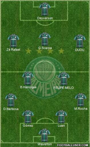 SE Palmeiras Formation 2019