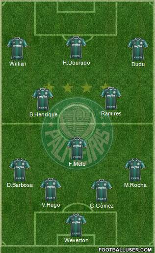 SE Palmeiras Formation 2019