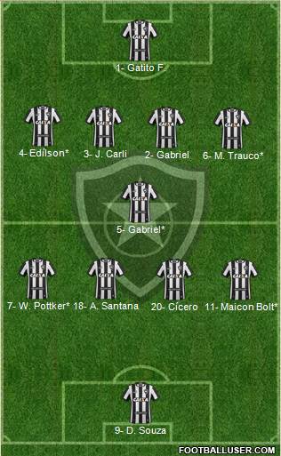 Botafogo FR Formation 2019