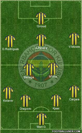 Fenerbahçe SK Formation 2019