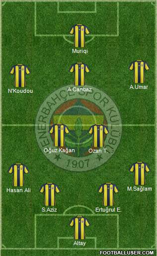 Fenerbahçe SK Formation 2019