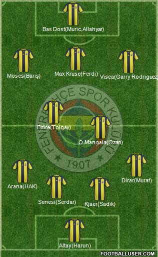 Fenerbahçe SK Formation 2019