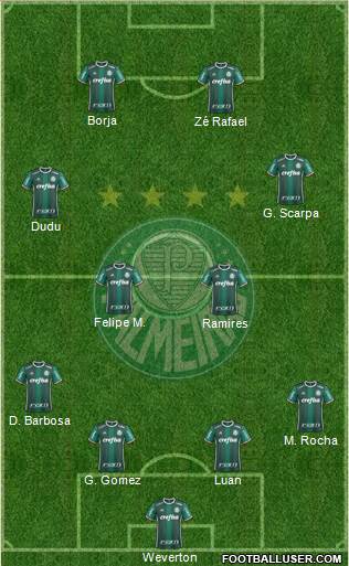 SE Palmeiras Formation 2019