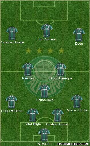 SE Palmeiras Formation 2019