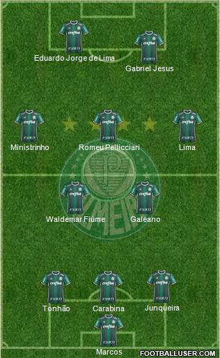 SE Palmeiras Formation 2019