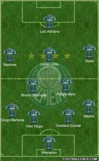 SE Palmeiras Formation 2019