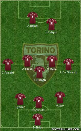 Torino Formation 2019