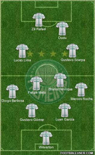 SE Palmeiras Formation 2019