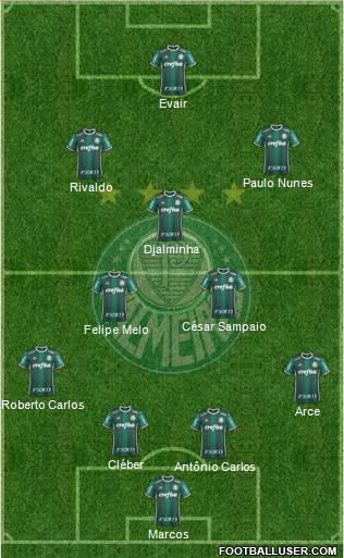 SE Palmeiras Formation 2019