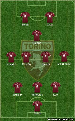 Torino Formation 2019