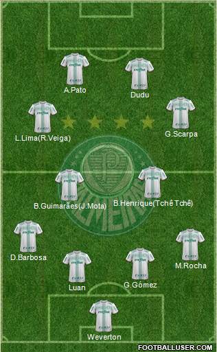 SE Palmeiras Formation 2019