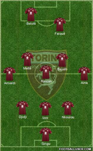 Torino Formation 2019