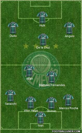 SE Palmeiras Formation 2019