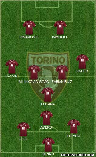 Torino Formation 2019