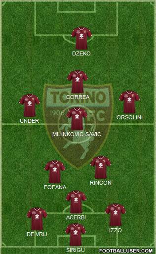 Torino Formation 2019