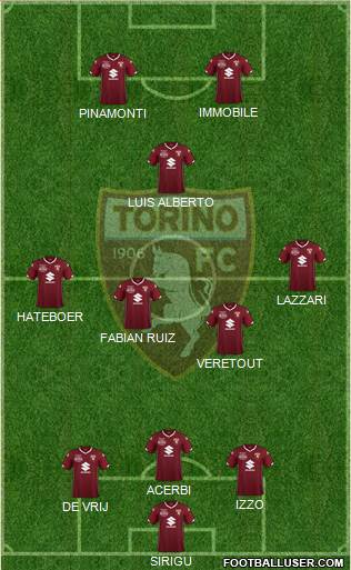 Torino Formation 2019