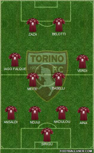 Torino Formation 2019