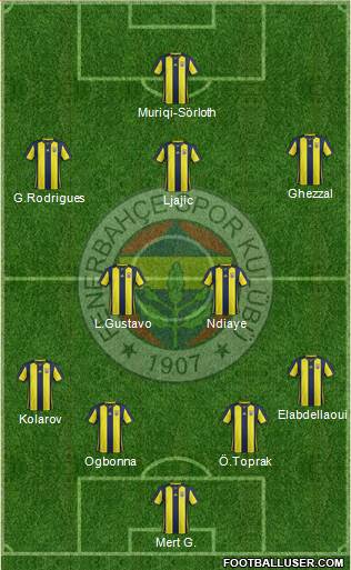 Fenerbahçe SK Formation 2019