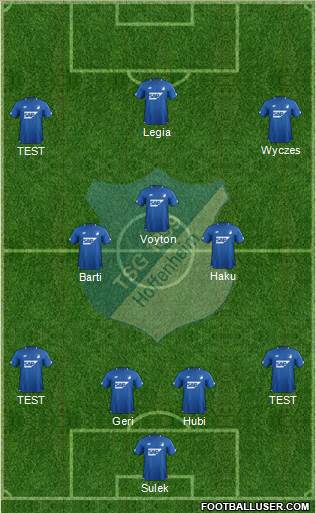 TSG 1899 Hoffenheim Formation 2019