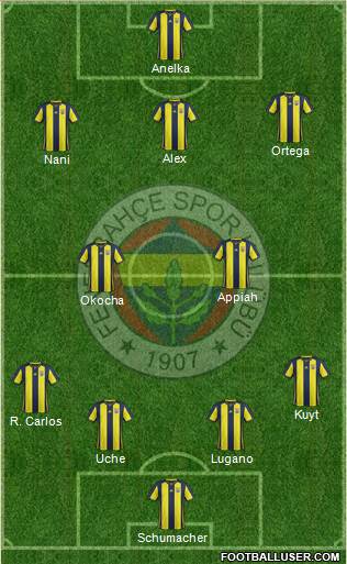 Fenerbahçe SK Formation 2019