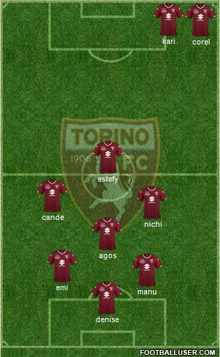 Torino Formation 2019