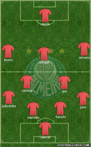 SE Palmeiras Formation 2019