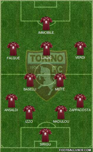 Torino Formation 2019