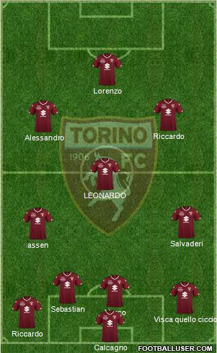 Torino Formation 2019