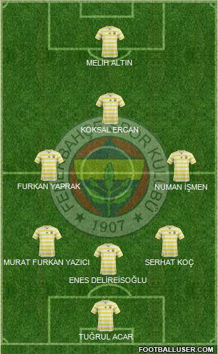 Fenerbahçe SK Formation 2019