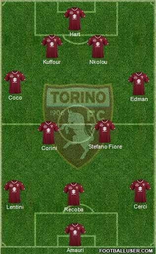 Torino Formation 2019