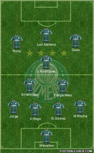 SE Palmeiras Formation 2019