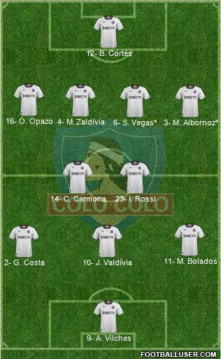 CSD Colo Colo Formation 2019