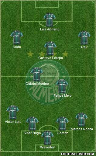 SE Palmeiras Formation 2019