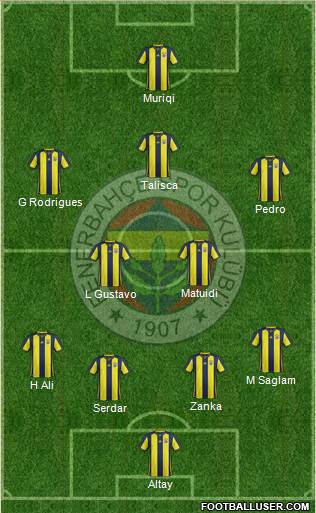 Fenerbahçe SK Formation 2019