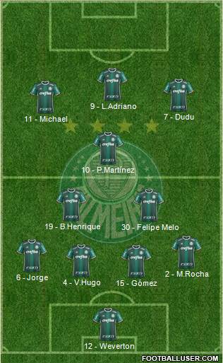 SE Palmeiras Formation 2019