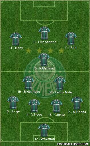 SE Palmeiras Formation 2019