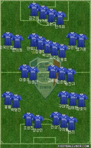 Suwon Samsung Blue Wings Formation 2019