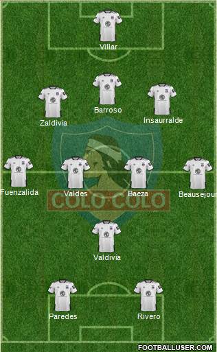 CSD Colo Colo Formation 2019