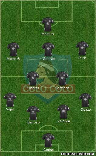 CSD Colo Colo Formation 2019