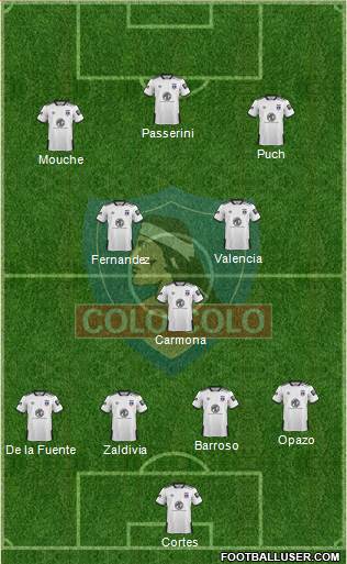 CSD Colo Colo Formation 2019