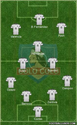 CSD Colo Colo Formation 2019