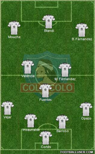 CSD Colo Colo Formation 2019