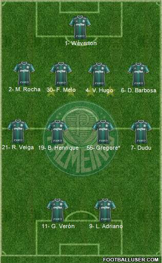 SE Palmeiras Formation 2020