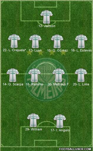 SE Palmeiras Formation 2020