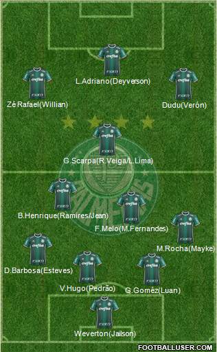 SE Palmeiras Formation 2020