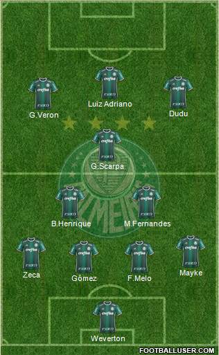 SE Palmeiras Formation 2020