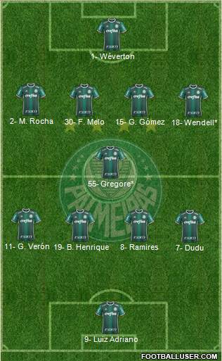 SE Palmeiras Formation 2020