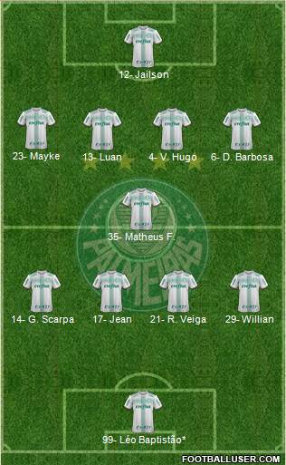 SE Palmeiras Formation 2020