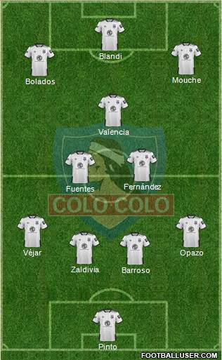 CSD Colo Colo Formation 2020