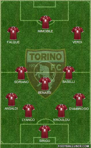 Torino Formation 2020